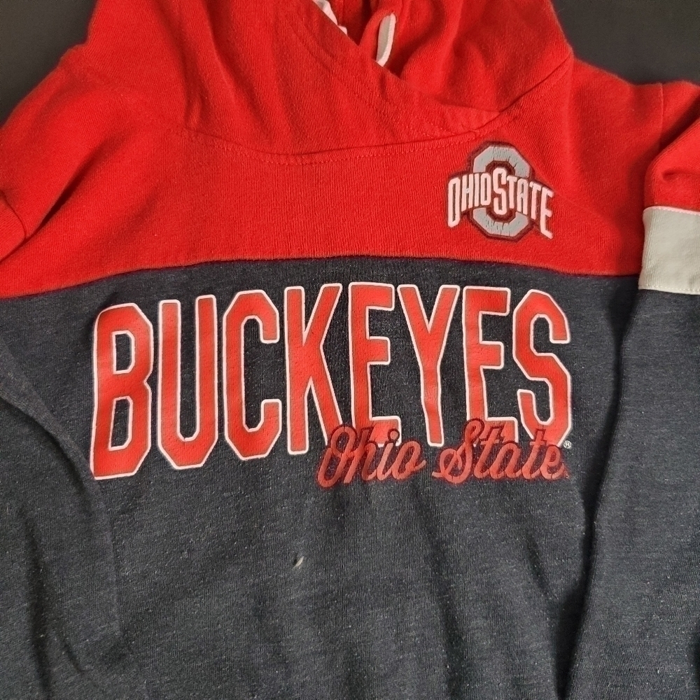 Ohio State Authentic Apparel  Hoodie Men's Large - Picture 3 of 7